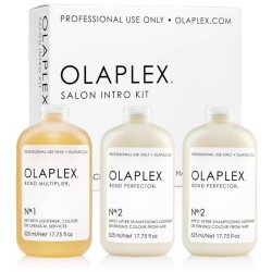Olaplex Salon Intro Kit