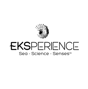 eskperience